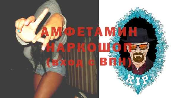 стаф Аркадак