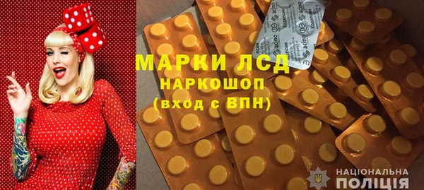 стаф Аркадак