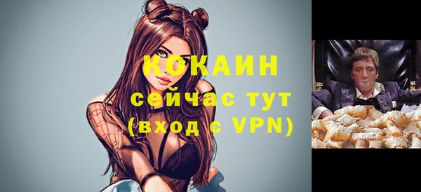 дживик Арсеньев