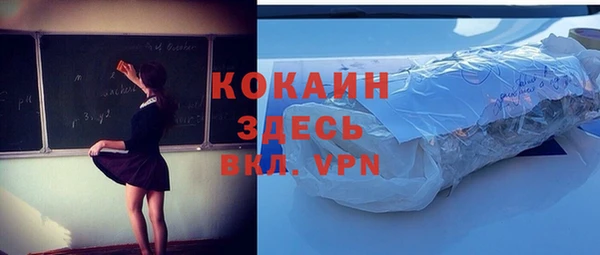 стаф Аркадак