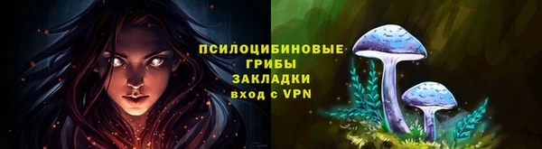 дживик Арсеньев