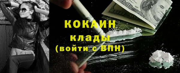 стаф Аркадак