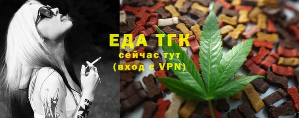 дживик Арсеньев