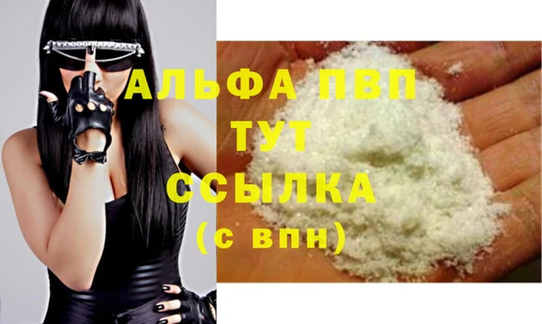 стаф Аркадак